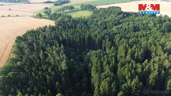 Prodej lesa, 5139 m², Tábor - 4