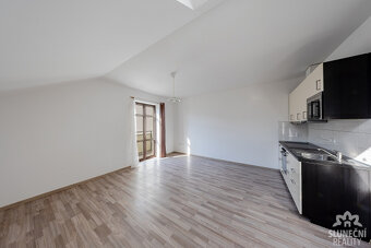 Pronájem bytu 1+1 42 m² s možností parkovacího místa, ulice - 4