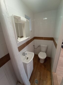 BEZ PROVIZE RK. Pronajmu atelier 1kk se zahrádkou Vršovice - 4