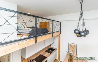 Pronájem loftového bytu 1+kk, 40 m  Praha 3, Žižkov, Malešic - 4