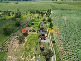 Prodej pozemku, vinice, 922 m2, Vlkoš u Kyjova - 4