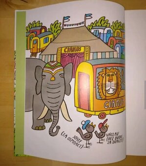 Kniha Kosí bratři - 4