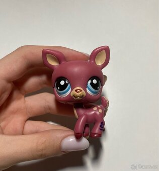 Lps srnky - 4
