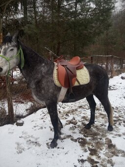 Turisticke sedlo - 4