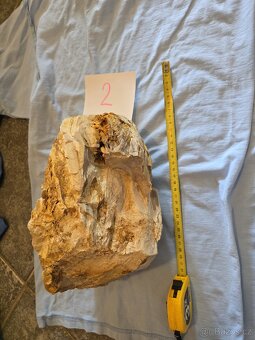 Zkamenělé dřevo do akvária - 4