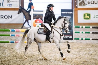 Nádherný pony valach - 4