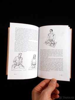 Krocení tygra - Tibetská učení pro všední život - 4