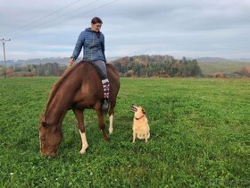 Obsedání koní - 4