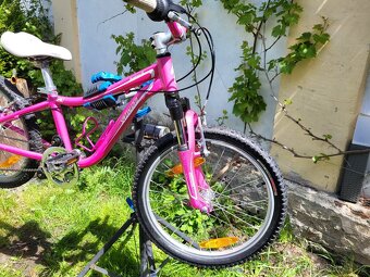 Kolo Specialized 24" kola - dívčí - 4