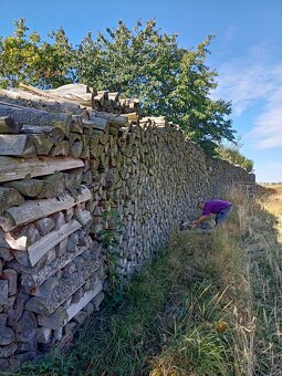 Palivové dřevo - 4