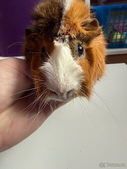 2 morcatka - kluci vcetne vybaveni - 4