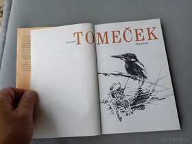 Hora hoří balada o Křížovém králi-Jaromír Tomeček - 4