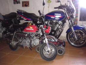 Honda Monkey 125 - 4