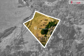 Stavební a lesní pozemky, 11355 m2, Křínov u Plané, okres Ta - 4