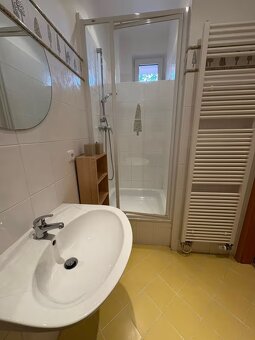 Pronájem bytu 1+KK - Pankrac - 4