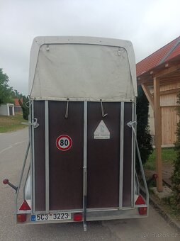 Pronájem - 4