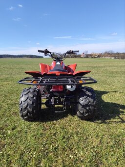 Bashan bs200s-3 - 4
