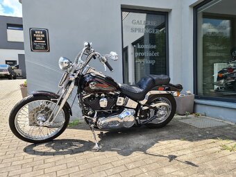 Harley-Davidson Springer Evo FXSTS 1993 - 4