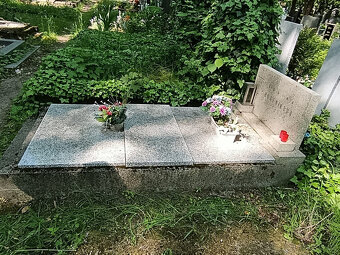 Přenechám pronájem hrobového místa na Olšanských hřbitovech - 4