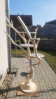 Kocici strom v bile lazure - skrabadlo - 4