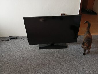 Televize 101cm - 4