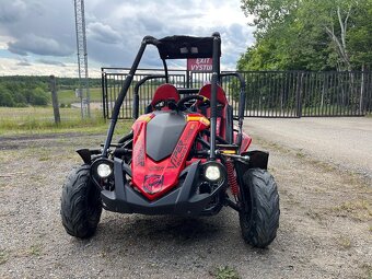 Viper Buggy - 4