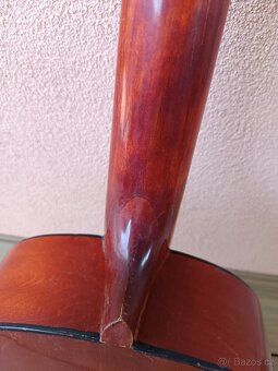 Kytara Giannini s obalem. - 4