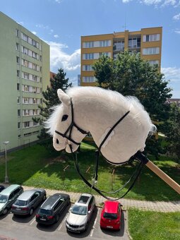 Hobby Horse - 4