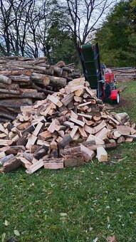 Palivové dřevo - 4