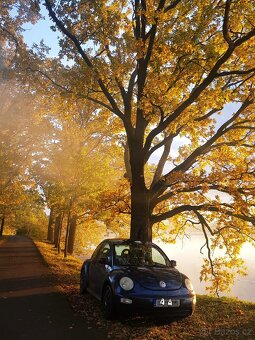 VW New Beetle 1.4, 55kw, 2003 - 4