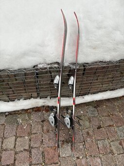 Lyže sjezdové dětské, 110 cm - 4