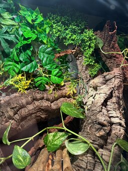 Reptiplanet Terárium 90x45x90 - 4