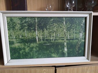 Prodám staré obrazy - 4