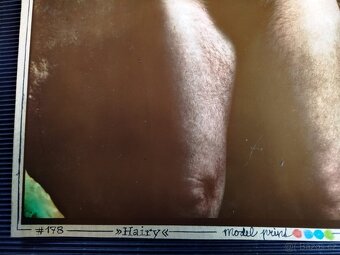 Jan Saudek #178 -Hairy - 4