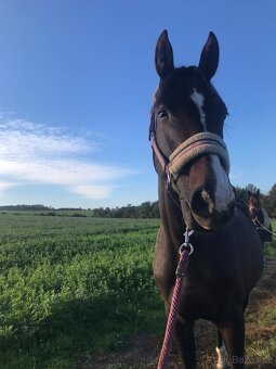 Kobylka ročník 2024 - 4