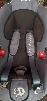 Dětská autosedačka FÉNIX Babypoint 9-25 kg - 4