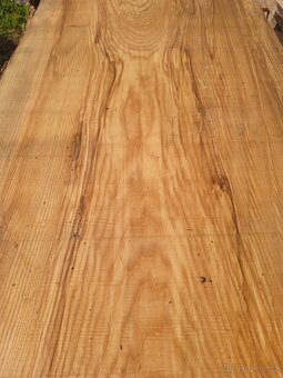 Fošny dub,buk,javor 60 mm. - 4