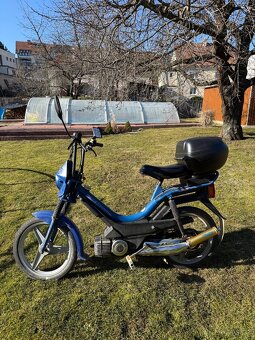 Manet Korado - 4