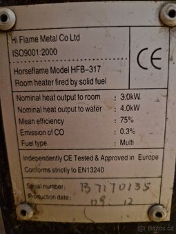 Kamna Horse Flame 317 - 4