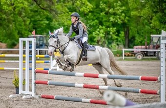 Sportovní pony kategorie B - 4