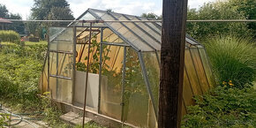 Prodej zahrádky - 4