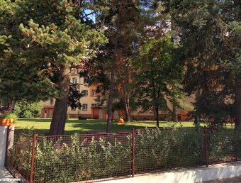 Pronájem 1+1 45 m2, Cihla, Metro, Zahrada, Bez provize - 4