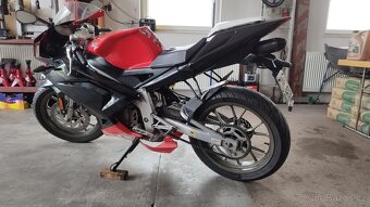 Aprilia RS 50 (AM) - 4
