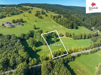 Prodej louky 7133 m2, Žacléř - 4