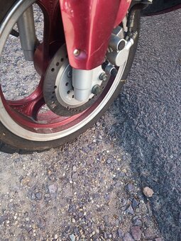 MP Korado Raptor 125 - 4