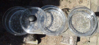 Skleněné parní nástavce s poklicí set 4ks - 4