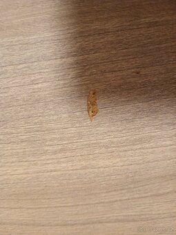 Pevný konferenční stůl - 4