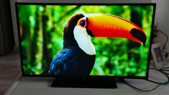 Smart tv JVC 108cm WIFI ONEPLAY, NETFLIX, Youtube - 4