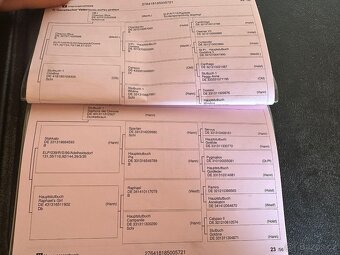 Prodej / výměna - 4