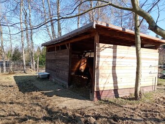 Pastevní ustajeni- Říčany - 4